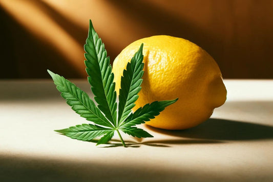 En citron og et cannabisblad