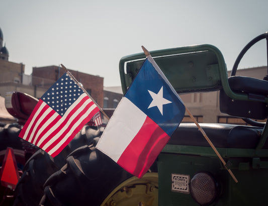 Amerikansk og texansk flag