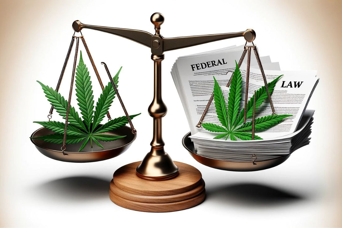 Balance mellem lov og cannabis