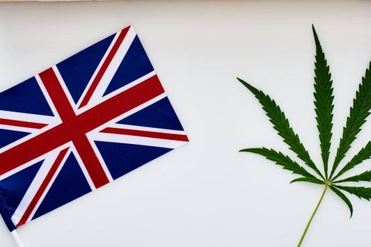 cannabisblad og britisk flag