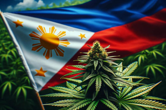 Cannabisplante og det filippinske flag