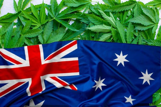 Cannabisblade og australsk flag