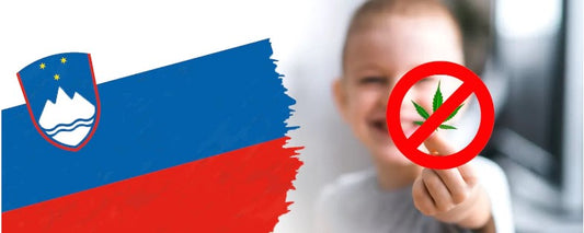 Slovenien forbyder CBD, efter at lokale producenter har forgiftet børn