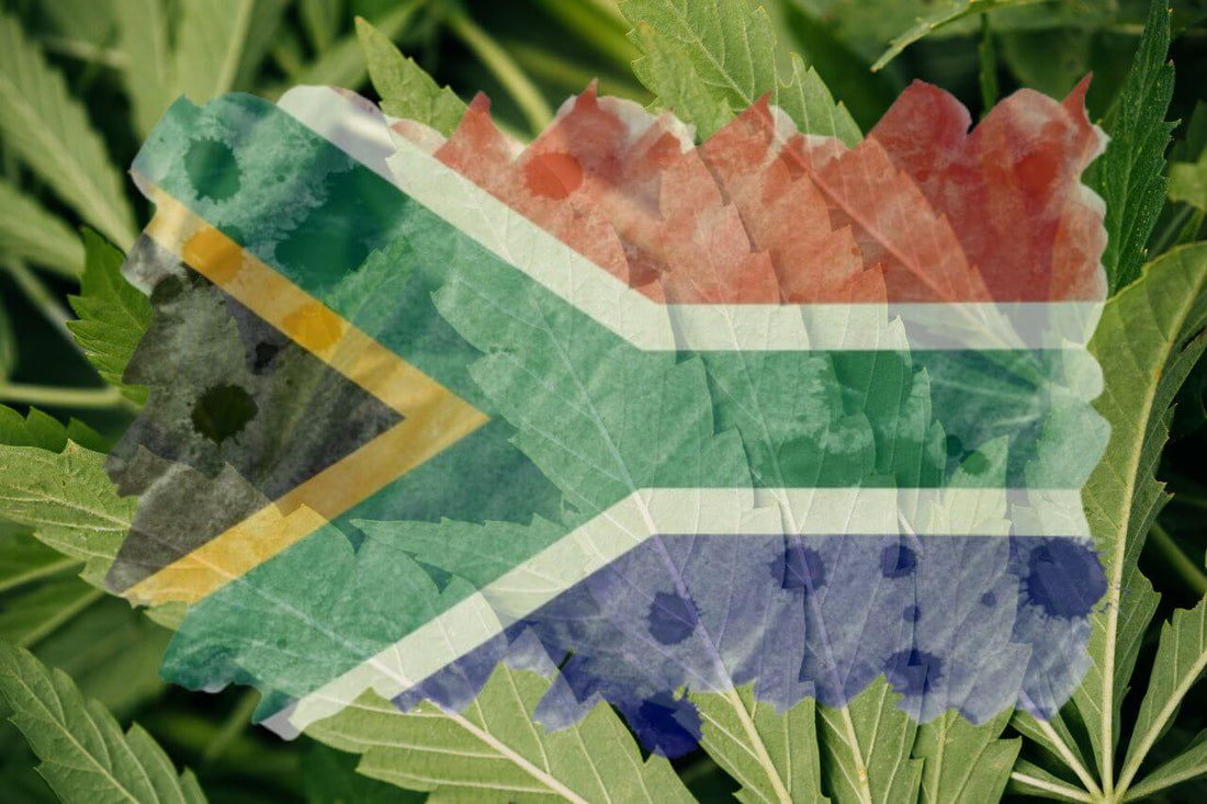 Afrikansk flag og cannabisblad 