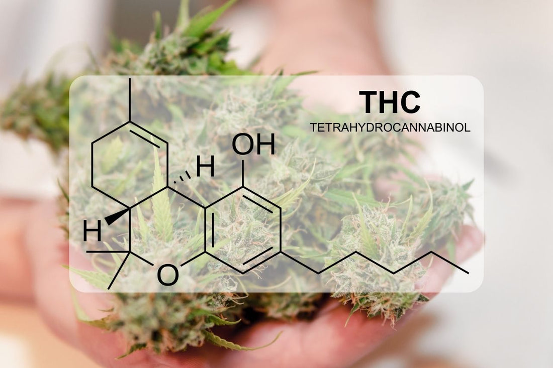 THC - tetrahydrocannabinol