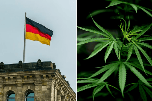Tyskland ser Canadas cannabis-succes