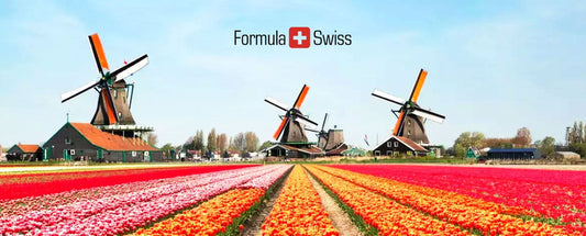 Det berømte ikon for det hollandske landskab en tulipanmark