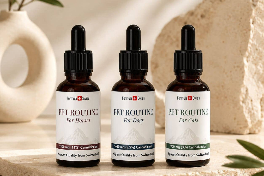 Formula Swiss Pet Routine CBD olier til heste, hunde og katte på en stenoverflade