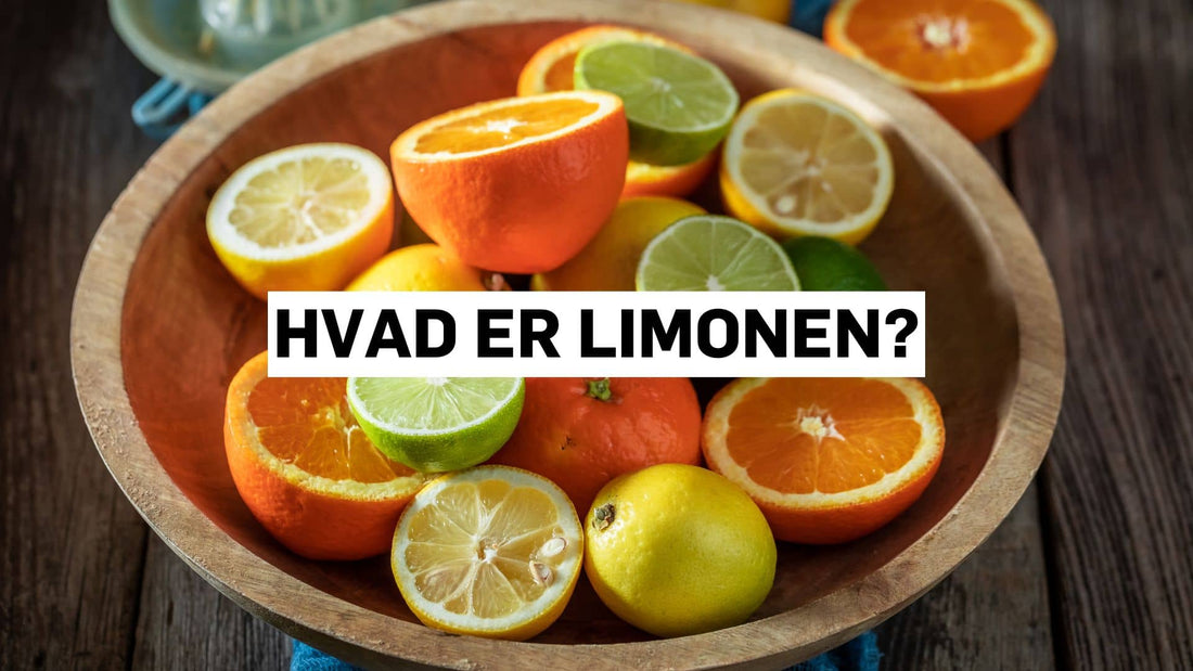 Hvad er limonen?