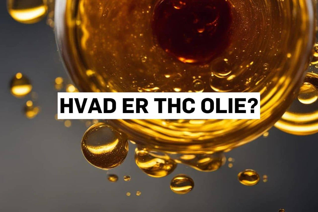 Hvad er THC olie?