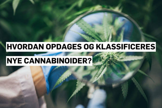 Hvordan opdages og klassificeres nye cannabinoider?