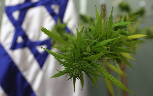 Nye regler for medicinsk cannabis i Israel