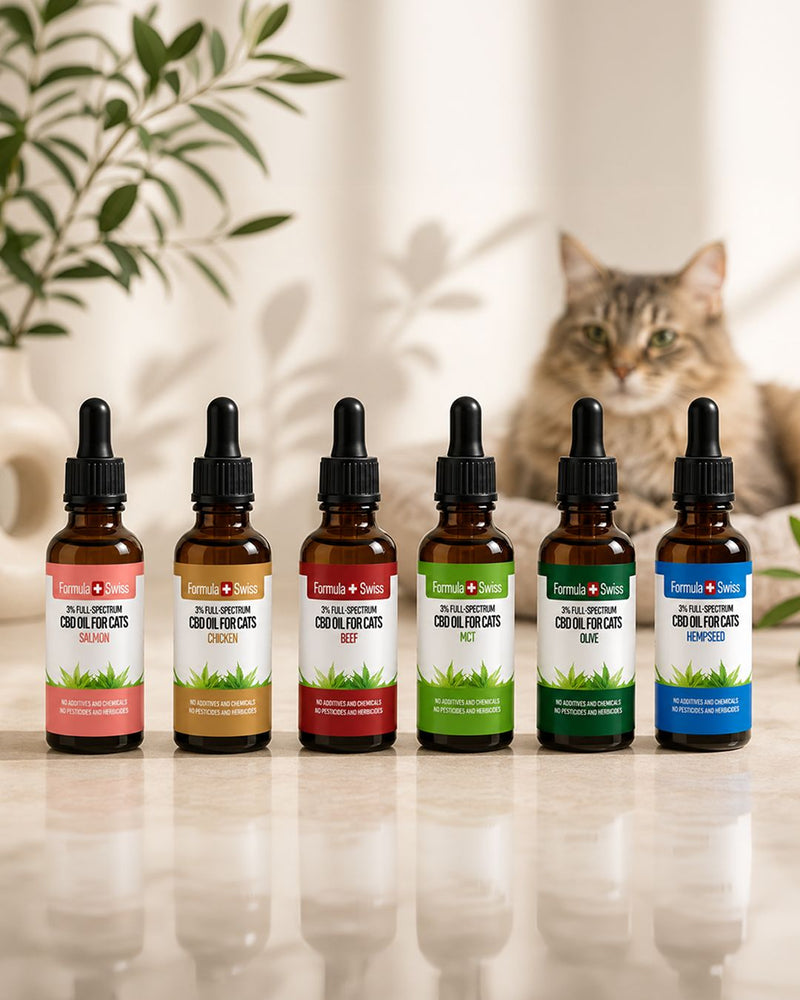 CBD olie til katte