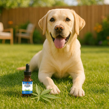 CBD olie til hunde hampefro
