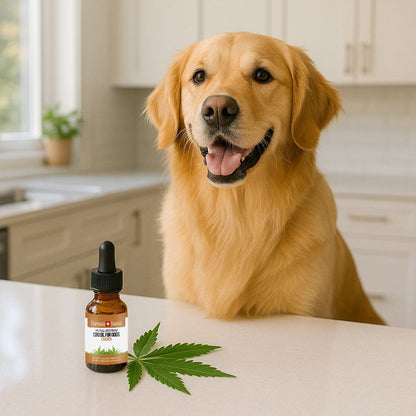 CBD olie til hunde kylling