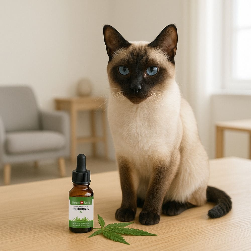 CBD olie til katte MCT