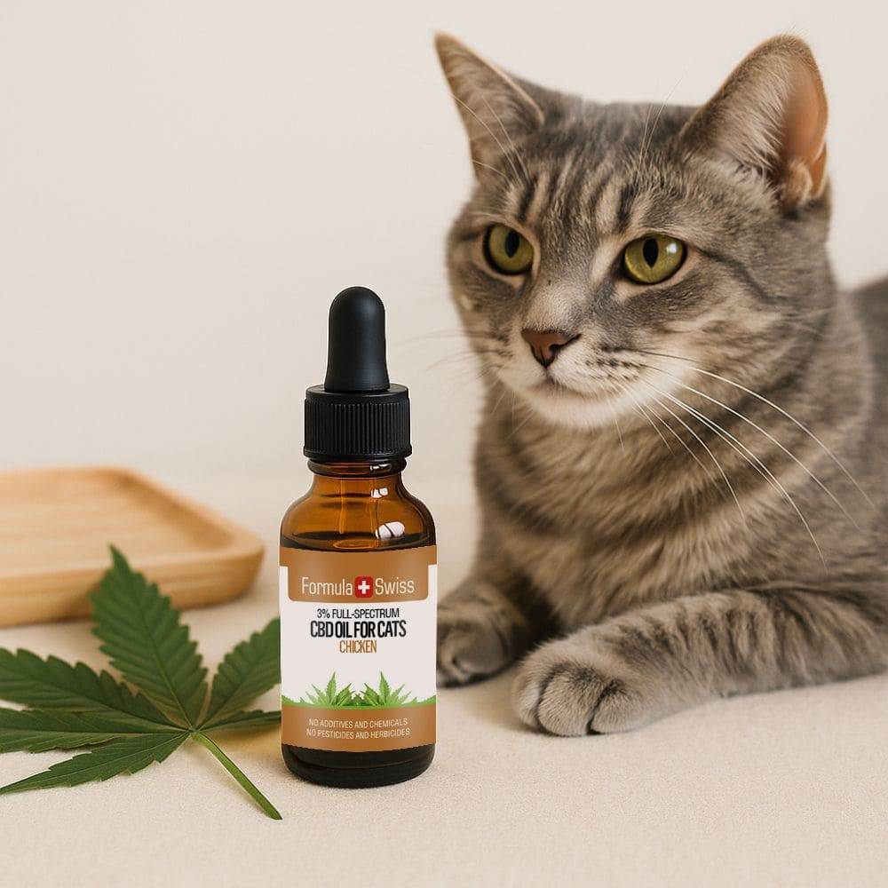 CBD olie til katte kylling