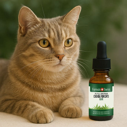 CBD olie til katte oliven