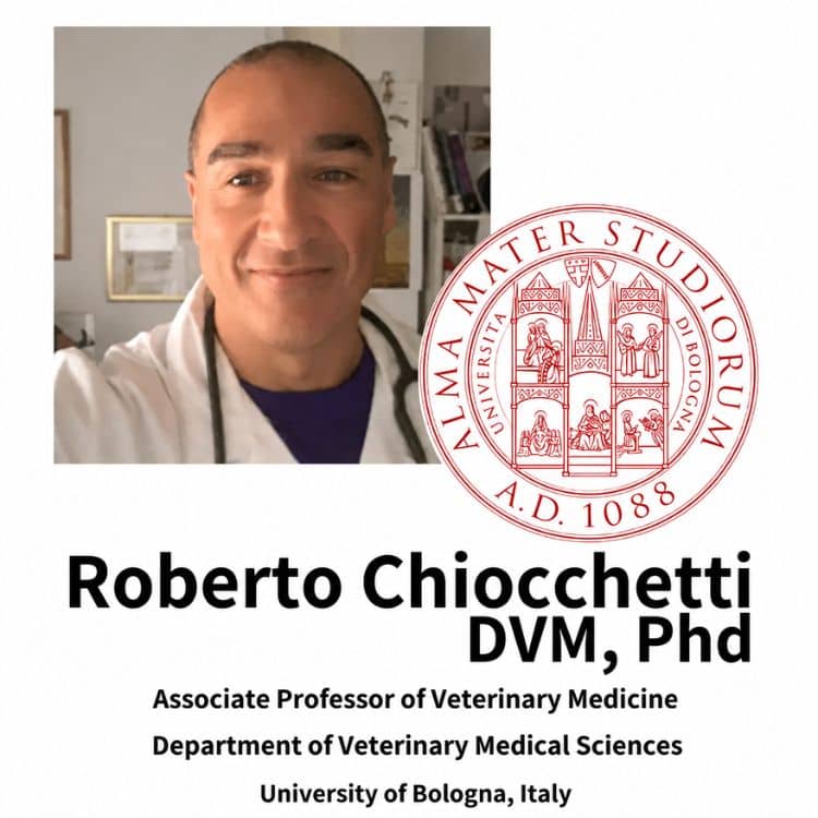 Roberto Chiocchetti, DVM, ph.d., lektor i veterinærmedicin ved universitetet i Bologna.