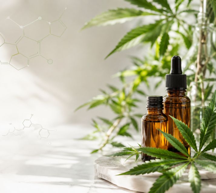 Cannabinoids education and hemp plant compounds